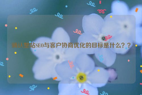 seo整站优化(确认整站SEO与客户协商优化的目标是什么??)-艾飞特资源网